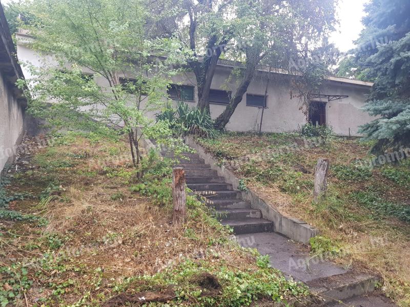 20% beépíthetőség,  8500 m2 belterületi telek,  üdülő,  ingatlan