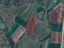 Kiskundorozsma,  5,8 ha rét legelő - támogatással