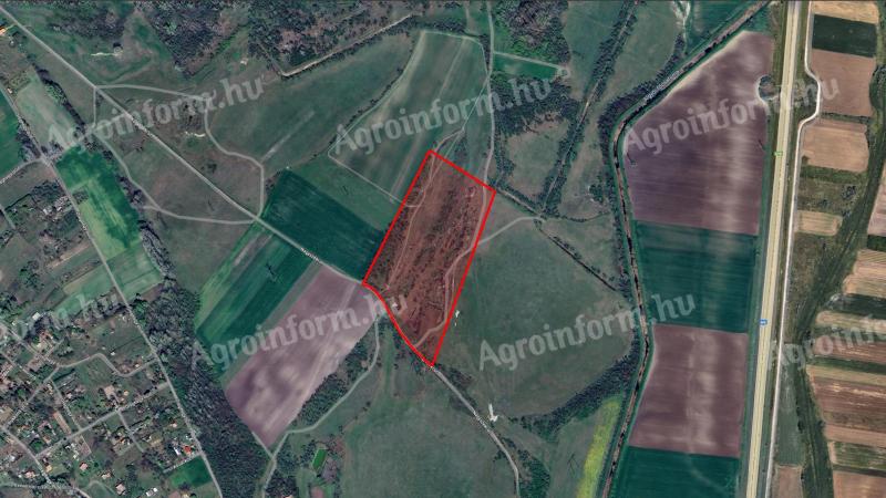 Kiskundorozsma,  5,8 ha rét legelő - támogatással
