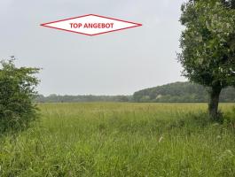 Vitnyéd és Hövej között közvetlen erdő mellett 962 m2-es víkendtelek eladó