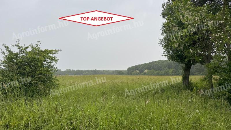 Vitnyéd és Hövej között közvetlen erdő mellett 962 m2-es víkendtelek eladó