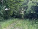 Vitnyéd és Hövej között közvetlen erdő mellett 962 m2-es víkendtelek eladó