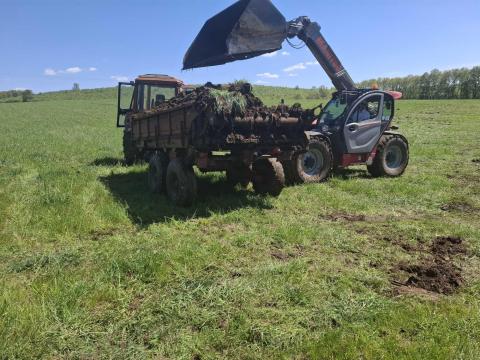 Orosz trágyaszoró Orosz trágyaszoró