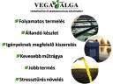 VegaAlga termésnövelő készítmény (400 liter fölött)