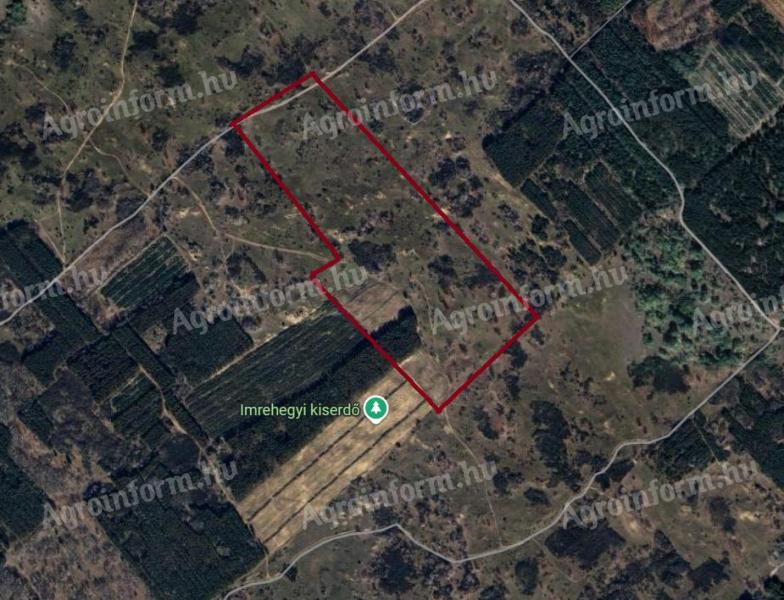 Imrehegyen 34 ha-os Natura 2000-es legelő eladó