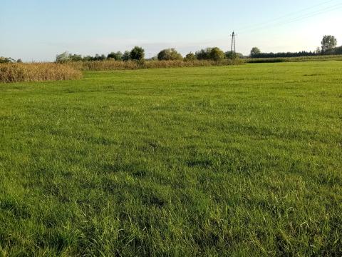 Zákányszéken rét eladó Zákányszéken rét eladó