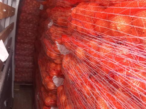 Vöröshagyma Vöröshagyma