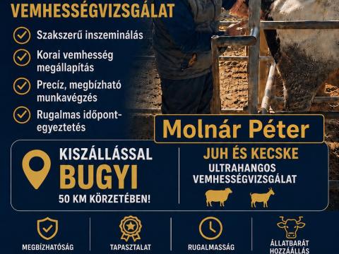 Szarvasmarha-inszeminátor Pest, Bács-Kiskun és Fejér vármegyében Szarvasmarha-inszeminátor Pest, Bács-Kiskun és Fejér vármegyében