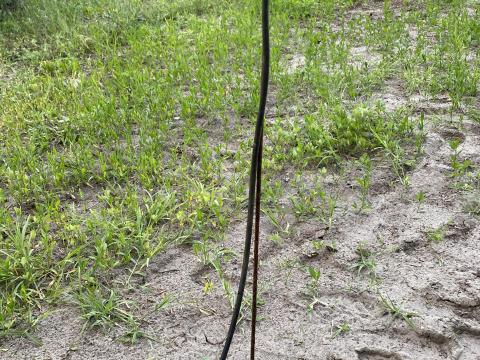 Mikroszórófej Mikroszórófej