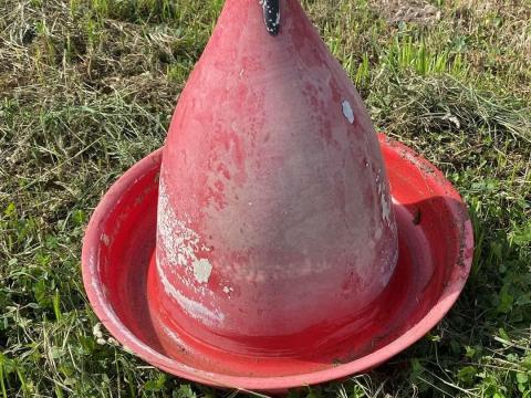 Pulyka itató Pulyka itató