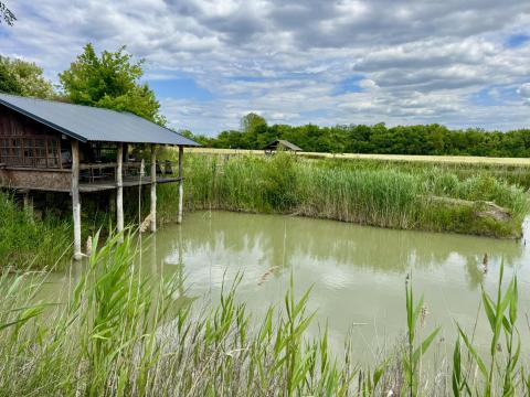 Halastó és mezőgazdasági terület házzal Halastó és mezőgazdasági terület házzal