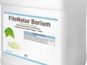 Fitonatur Bórium