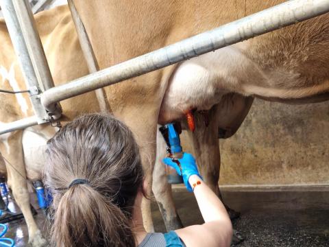 Állatgondozó Állatgondozó