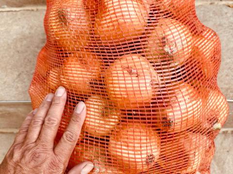 Vöröshagyma, hagyma Vöröshagyma, hagyma