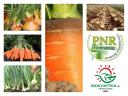 Intenzív lombtrágya Paradicsom • Paprika • Dinnye • Burgonya • Hagyma