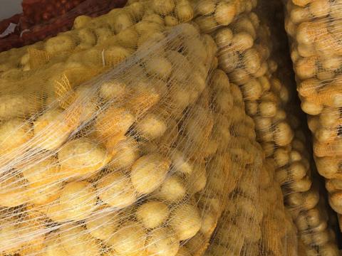 Sárga mosott extra burgonya Sárga mosott extra burgonya