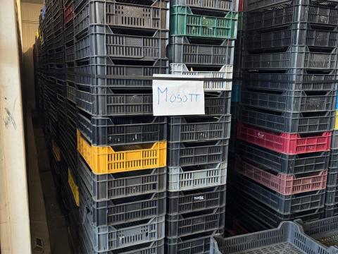 M10 műanyag rekesz eladó, mosott, raklapon pántolva, hűtőházban tárolva