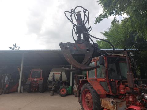 Rönkfogó Rönkfogó