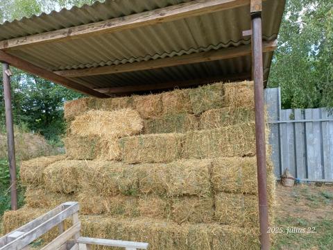 Lucerna kis kocka bála Lucerna kis kocka bála