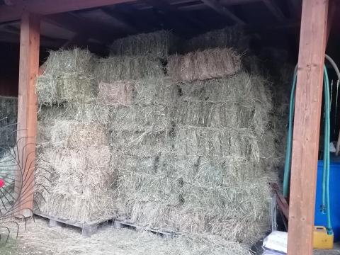 Kisbálás széna eladó Kisbálás széna eladó