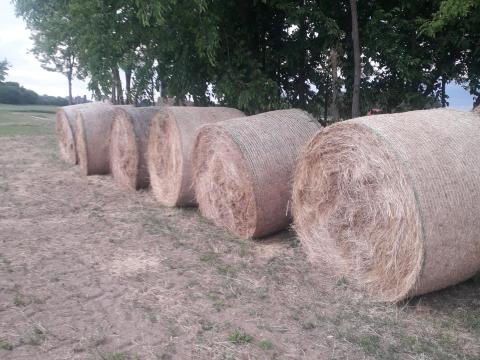 Lucerna körbála eladó Lucerna körbála eladó