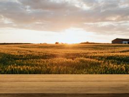 Vinasz értékesítése kis és nagy tételben
