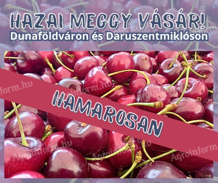 Meggy Vásár Daruszentmiklóson és Dunaföldváron
