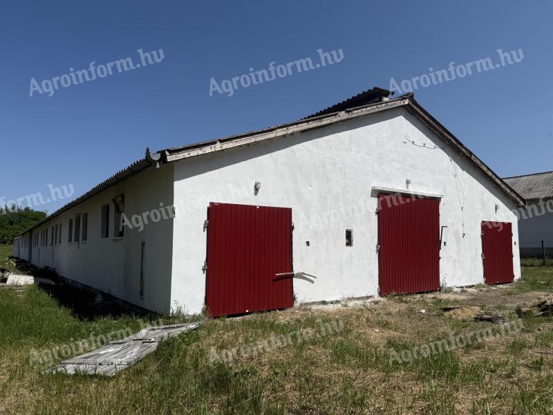 Eladó állattartó telep