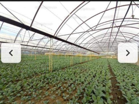 Fóliasátor Fóliasátor