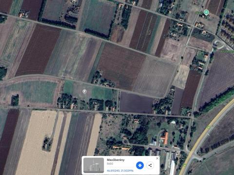 Mezőberény, Békés megye, eladó termőföld, szántó Mezőberény, Békés megye, eladó termőföld, szántó