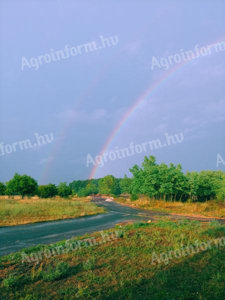 Kertgondozás