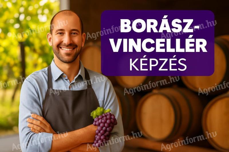 Borász-vincellér képzés – Államilag elismert tanfolyam gyakorlati tudással