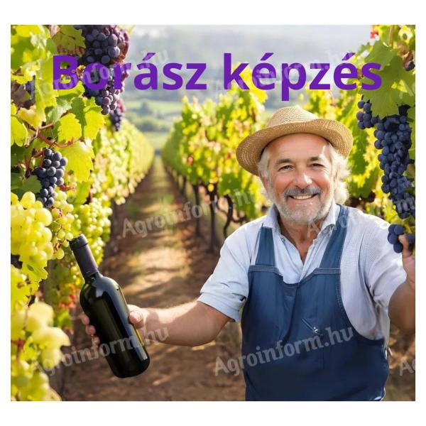 Borász 07214009 képzés