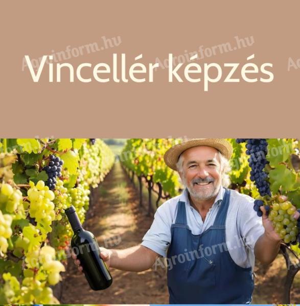 Vincellér 07214016 képzés