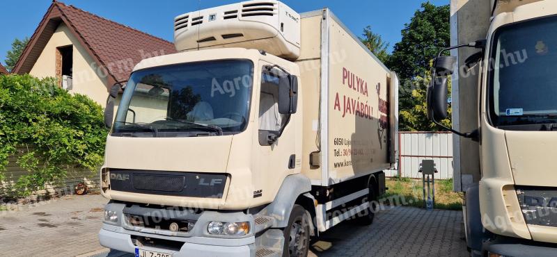 DAF hűtősautó