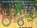 Búzafelvásárlás Tépén