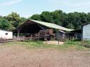Farm/tanya eladó Márianosztra külterületén
