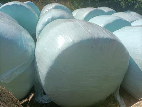 Fű- és lucernaszéna, valamint szenázs Fű- és lucernaszéna, valamint szenázs