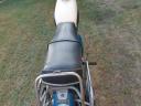 Trophy MZ 125 motor