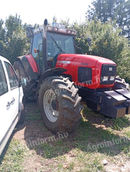 Massey Ferguson eladó