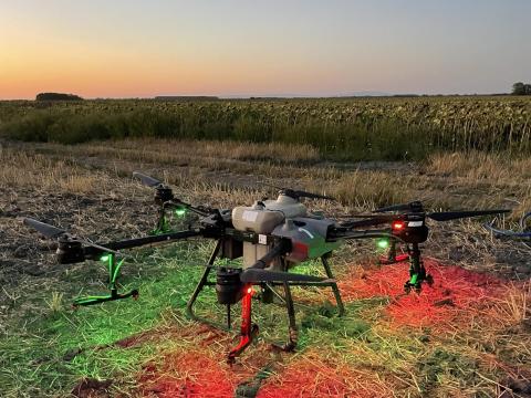 Permetezz gombaölőszert drónnal hivatalosan – Amistar Sun már 2025-től engedélyezve Permetezz gombaölőszert drónnal hivatalosan – Amistar Sun már 2025-től engedélyezve