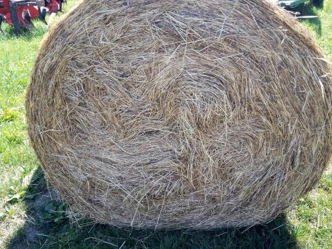 Eladó szénabála Eladó szénabála