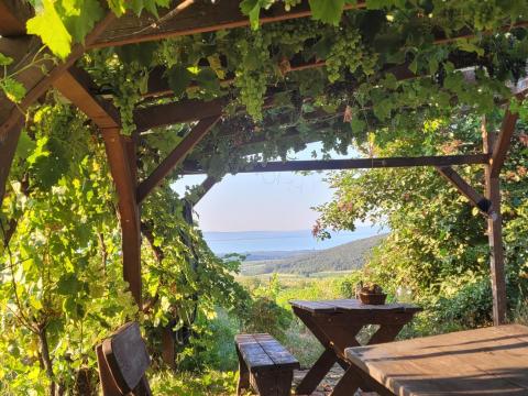 Balatoni borászat eladó Balatoni borászat eladó