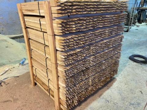 Akácnevelő karó Akácnevelő karó