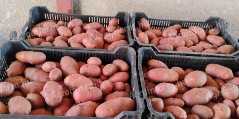 Balatoni rózsa burgonya eladó 