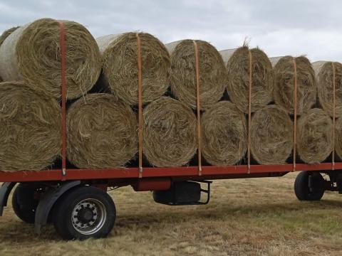 Széna körbála eladó Széna körbála eladó