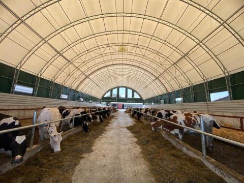 SKAVSKA sátorcsarnok – Állattartóknak - Megbízható minőség közvetlenül a gyártótól SKAVSKA sátorcsarnok – Állattartóknak - Megbízható minőség közvetlenül a gyártótól