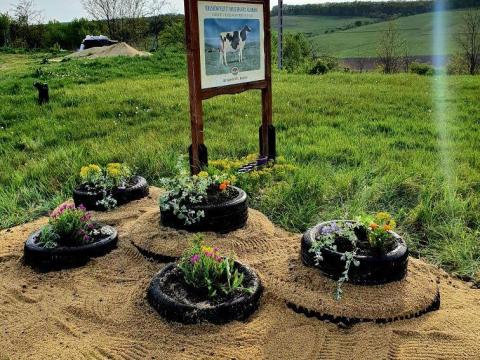 Mezőgazdasági gépkezelő szarvasmarha telepre Mezőgazdasági gépkezelő szarvasmarha telepre