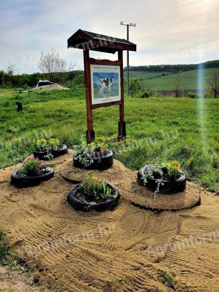 Mezőgazdasági gépkezelő szarvasmarha telepre