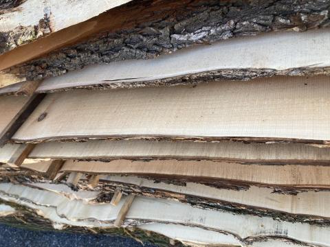 Juharfa palló eladó - Balaton